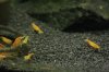 _MG_2685.jpg