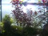 BILD3989.JPG