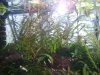 BILD3993.JPG