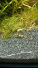 IMG-20170302-WA0001.jpg