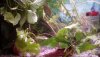 IMG_20170314_103149.jpg