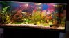 20170318_173125-2656x1494.jpg