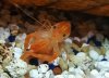 20170322_141039_crop_406x295.jpg