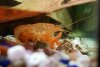 20170322_141108_crop_423x285.jpg