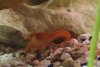20170331_193825_crop_342x230.jpg