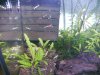 BILD4012.JPG