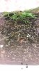 20170415_153309.jpg