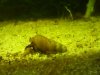IMG_20170425_195502.jpg