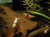 IMG_20170429_133530.jpg
