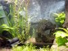 IMG_20170506_190501_l.jpg