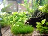 IMG_20170506_190525_l.jpg