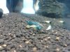 2017-05-08 11.36.15.jpg
