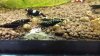 20170603_195338.jpg