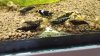 20170603_195455.jpg