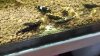 20170603_195511.jpg