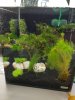 20170610_191810.jpg