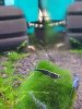 20170615_153420.jpg