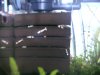 BILD4015.JPG