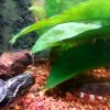 20170627_210824_crop_640x640.jpg