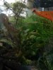 20170630_201050.jpg