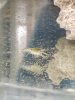 20170629_055606.jpg