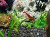 20170708_231329.jpg