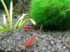 20170718_142740.jpg