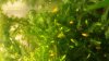 20170809_102908.jpg