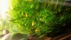 20170809_102850.jpg