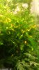 20170809_102830.jpg