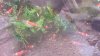 20170720_095944.jpg