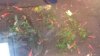 20170720_095819.jpg