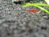 20170708_231401.jpg