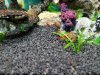 20170709_124703.jpg