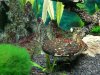 20170718_142756.jpg