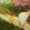 20170709_184011.jpg