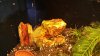 20170828_193743.jpg