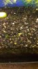 20170507_154736.jpg