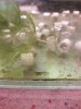20170909_085328.jpg