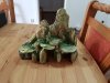 20170925_145647.jpg