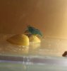 IMG-20171003-WA0003.jpg