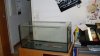 comp_SDC10220.jpg