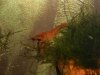 100_2882.JPG