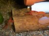 100_2893.JPG