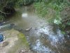 DSC02062.JPG