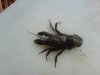 DSC02205.JPG