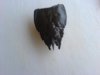 DSC02208.JPG