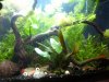 Aquarium1.jpg