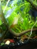 Aquarium2.jpg