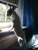 Bild012.jpg